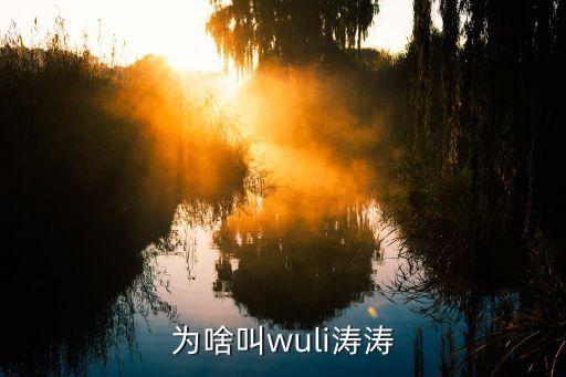 为啥叫wuli涛涛