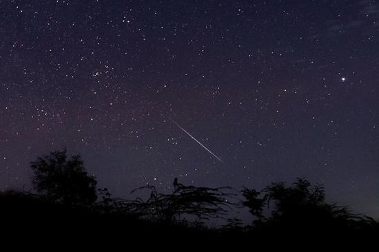 你不知道的流星雨“冷知识”：它真的跟星座有关吗？