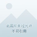 明星经纪公司