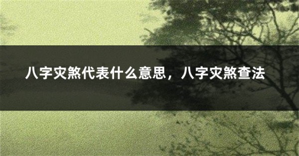 八字灾煞代表什么意思，八字灾煞查法