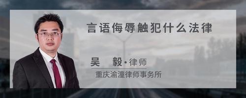 言语侮辱触犯什么法律