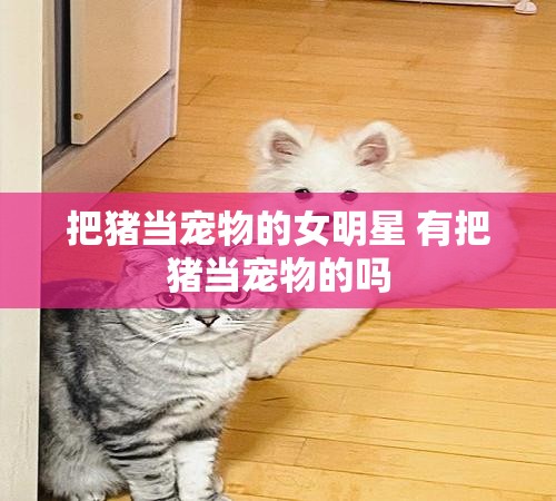 把猪当宠物的女明星 有把猪当宠物的吗