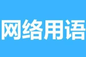 白海豚梗含义出处介绍- 网络用语白海豚是什么梗