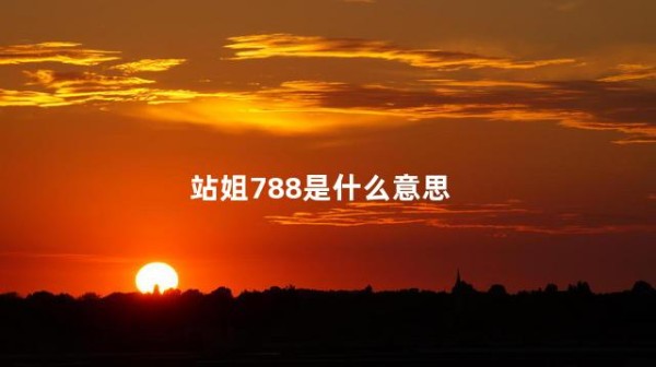 站姐788是什么意思