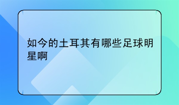 如今的土耳其有哪些足球明星啊