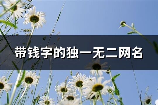 带钱字的独一无二网名(精选79个)