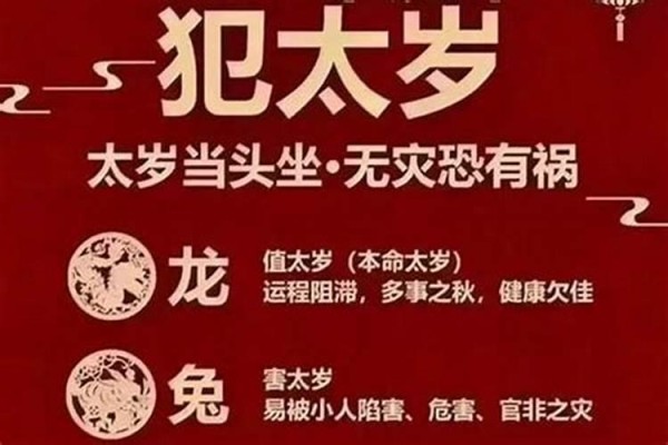 和猴合的属相