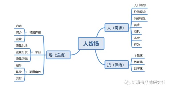 竞争中的大猩猩、狒狒、小猴子：防御战、进攻战、侧翼战