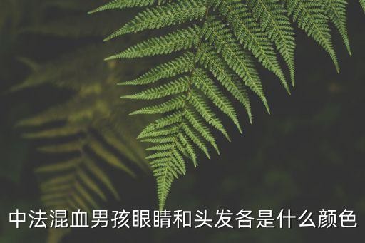 中法混血男孩眼睛和头发各是什么颜色