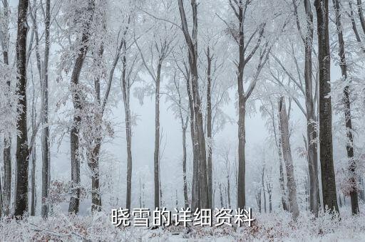 晓雪的详细资料