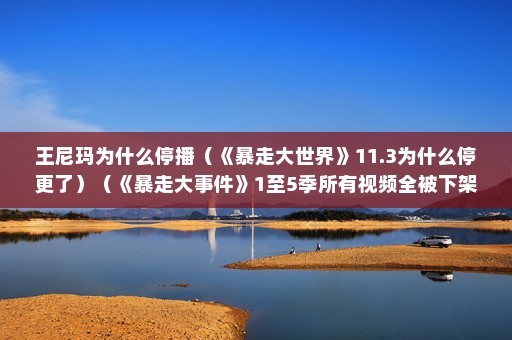 王尼玛为什么停播（《暴走大世界》11.3为什么停更了）（《暴走大事件》1至5季所有视频全被下架网友们这才意识到）