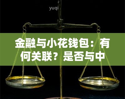 金融与小花钱包：有何关联？是不是与中信银行合作？