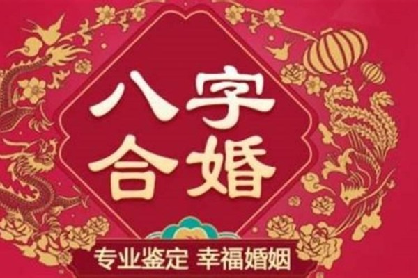 梦见喂小象喝水