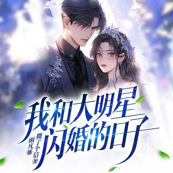 我和大明星闪婚的日子丨都市爽文丨多人有声剧