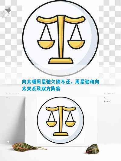 向太曝周星驰欠债不还，周星驰和向太关系及双方阵容