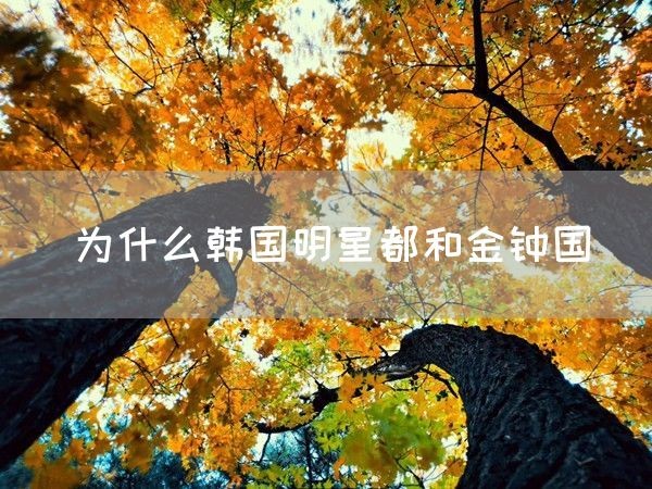 为什么韩国明星都和金钟国(图1)