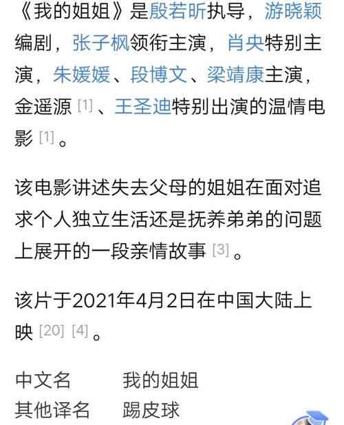 探究莎奶奶与燕窝姐之间的恩怨纠葛：全面解析两人的矛盾始末与背景故事