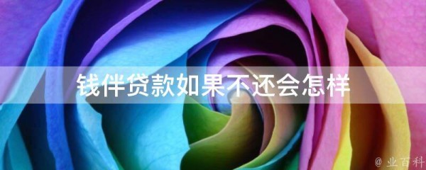 钱伴贷款如果不还会怎样