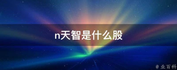 n天智是什么股