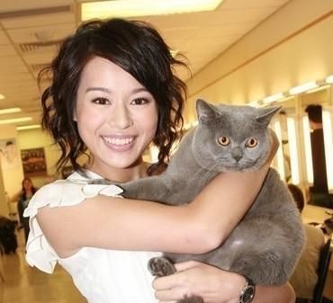 胡杏儿爱猫成痴