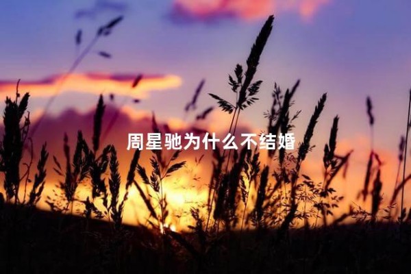 周星驰为什么不结婚