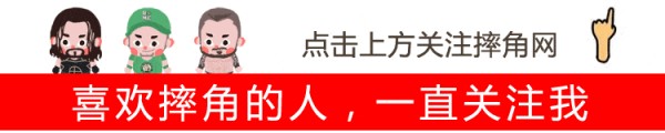 大狗罗曼：没脑子的人才会认为CM·朋克是世界第一摔角手！