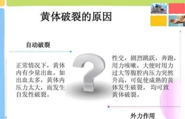 李小璐和蒲巴甲是什么关系 宫外孕黄体破裂事件是怎么回事始末详情介绍