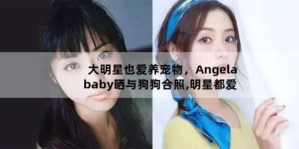 大明星也爱养宠物，Angelababy晒与狗狗合照,明星都爱养宠物的原因有哪些