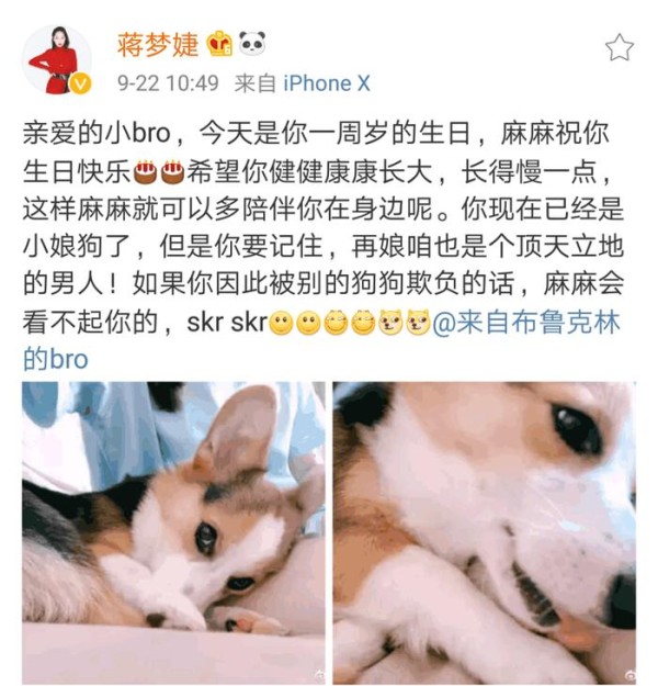 明星家的狗狗们，名字一个比一个可爱，张馨予家的最接地气