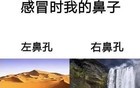 戴口罩！戴口罩！东莞大面积沦陷？又要抢药囤药？