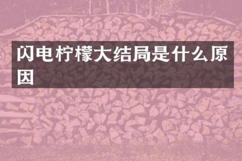 闪电柠檬大结局是什么原因