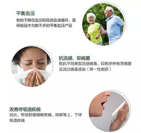 Healthy Care：橄榄叶的神奇之处，你或许并不知道