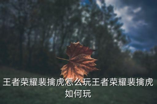 王者荣耀裴擒虎怎么玩王者荣耀裴擒虎如何玩