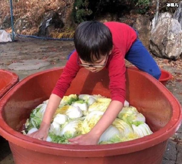 宋家三胞胎腌泡菜