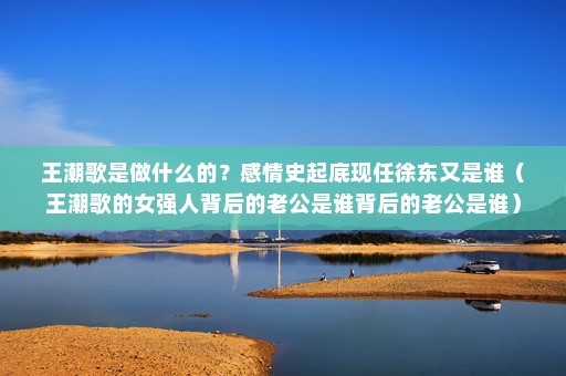 王潮歌是做什么的？感情史起底现任徐东又是谁（王潮歌的女强人背后的老公是谁背后的老公是谁）