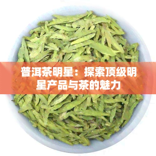 普洱茶明星：探索顶级明星产品与茶的魅力