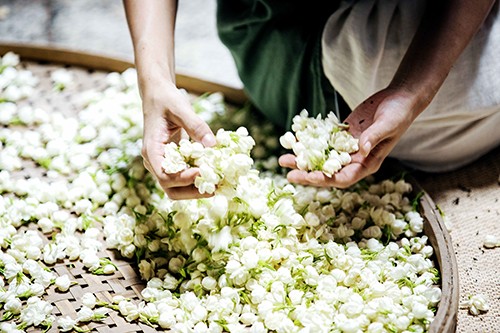 以茶为媒，对话世界丨茶百道自建完整原茶产业链