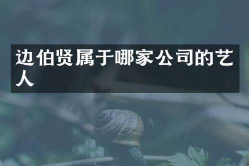 边伯贤属于哪家公司的艺人