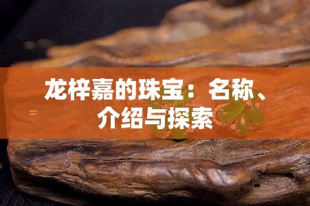 龙梓嘉的珠宝：名称、介绍与探索