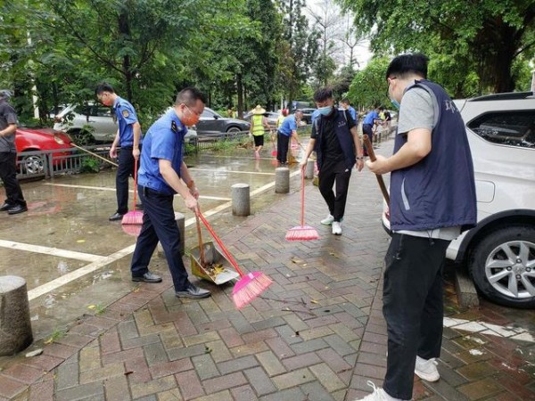 东莞塘厦“地毯式”整治“三边三地”，守护绿色风景线