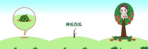 求解！四象星座为何都钟情剑仙？