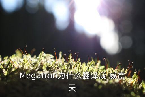 Megatron为什么翻译成 威震天