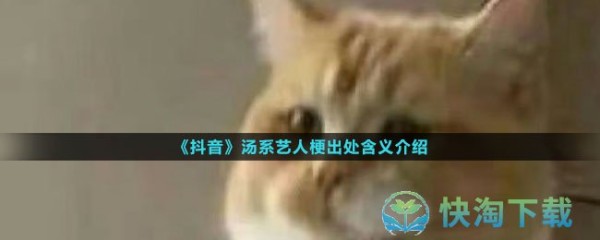 《抖音》汤系艺人梗出处含义介绍