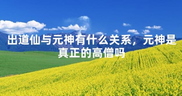 出道仙与元神有什么关系，元神是真正的高僧吗