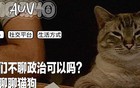 中美网民在小红书接头的48小时