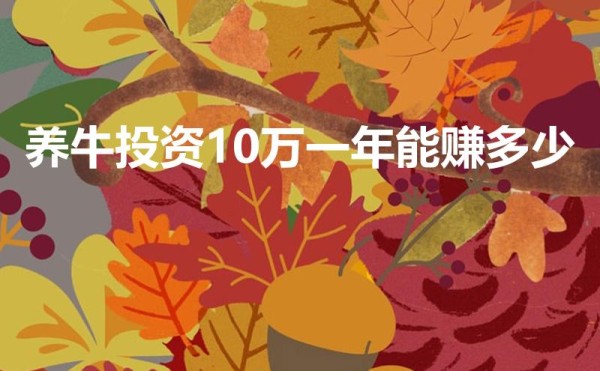 养牛投资10万一年能赚多少（养10头牛一年利润多少）