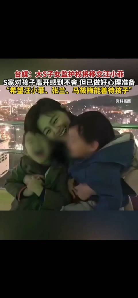 台媒：大S子女监护权将移交给汪小菲