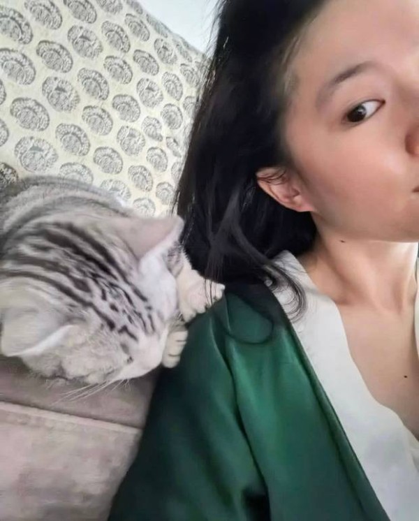 刘亦菲与猫咪同框合影。