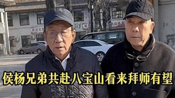 杨议可怜三天没发作品，是因为拜师失败还是受德云社安排副总刺激