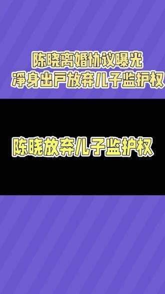 陈晓离婚协议公开：大部分资产归陈妍希，放弃孩子抚养权，再婚需告知陈晓